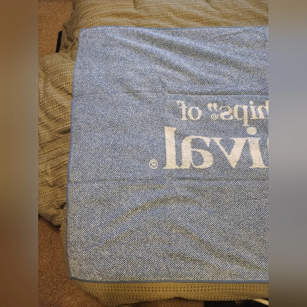 EUC Carnival Cruise Line Beach Towel Large 65